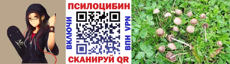 как найти наркотики  Устюжна  Галлюциногенные грибы мухоморы 