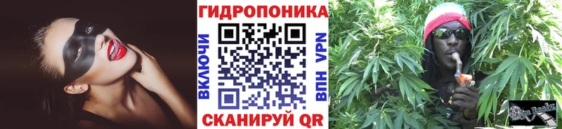 Канабис семена  blacksprut сайт  Устюжна 